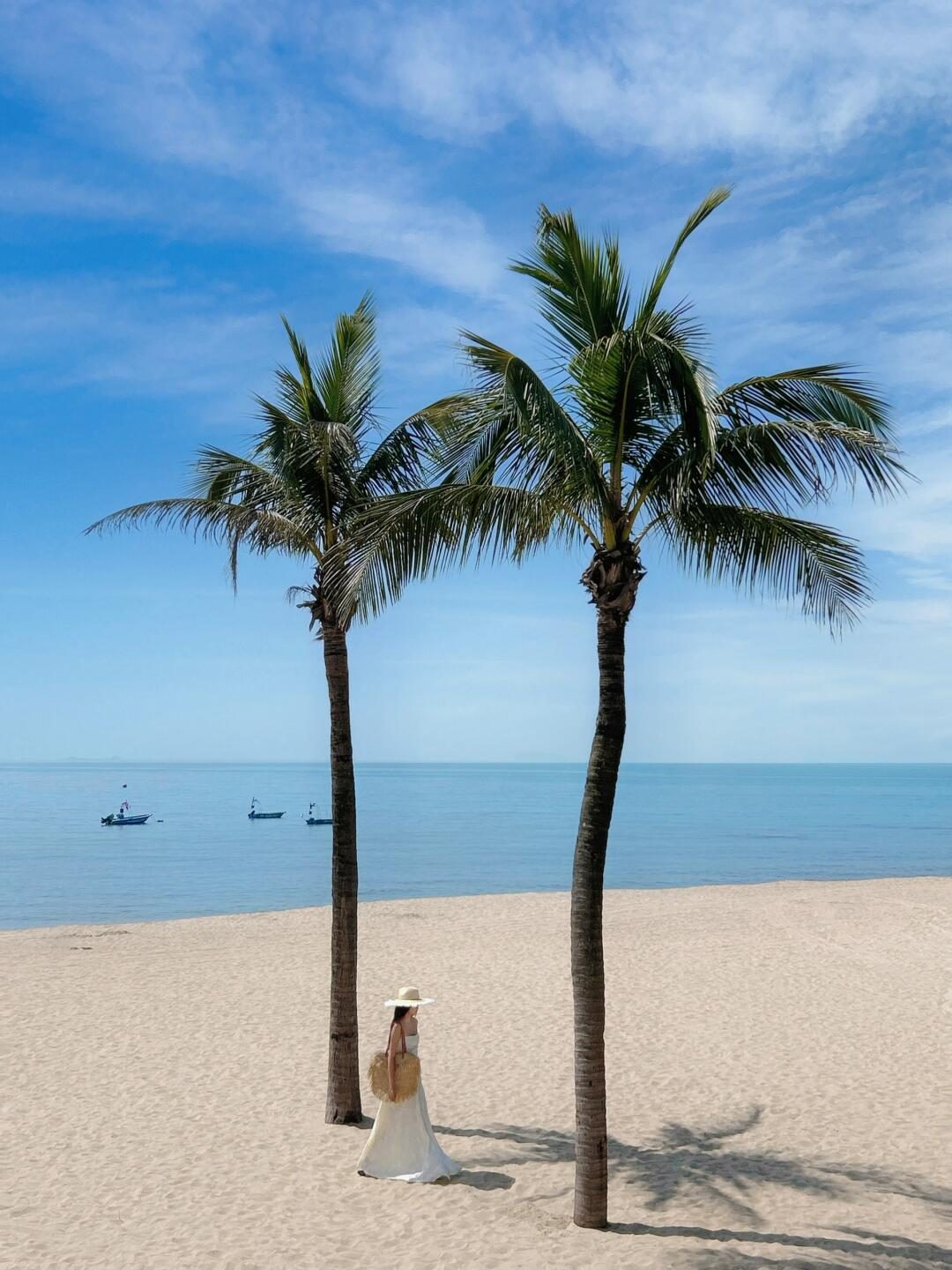 Palm trees on a sandy beach beside Huandao Road, Xiamen