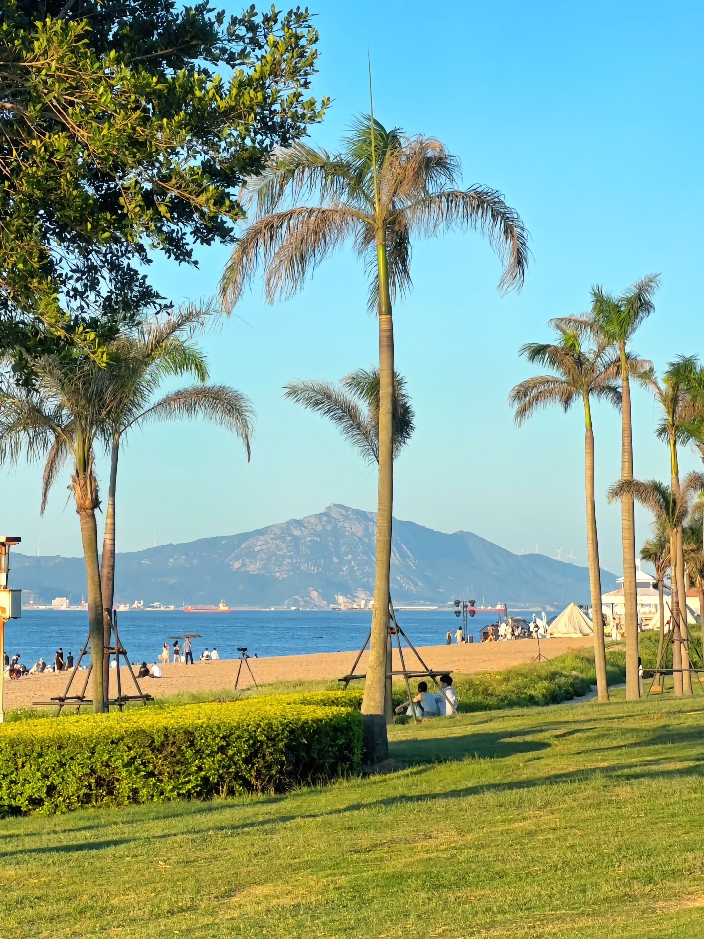 Palm-lined ring road and beach, Xiamen