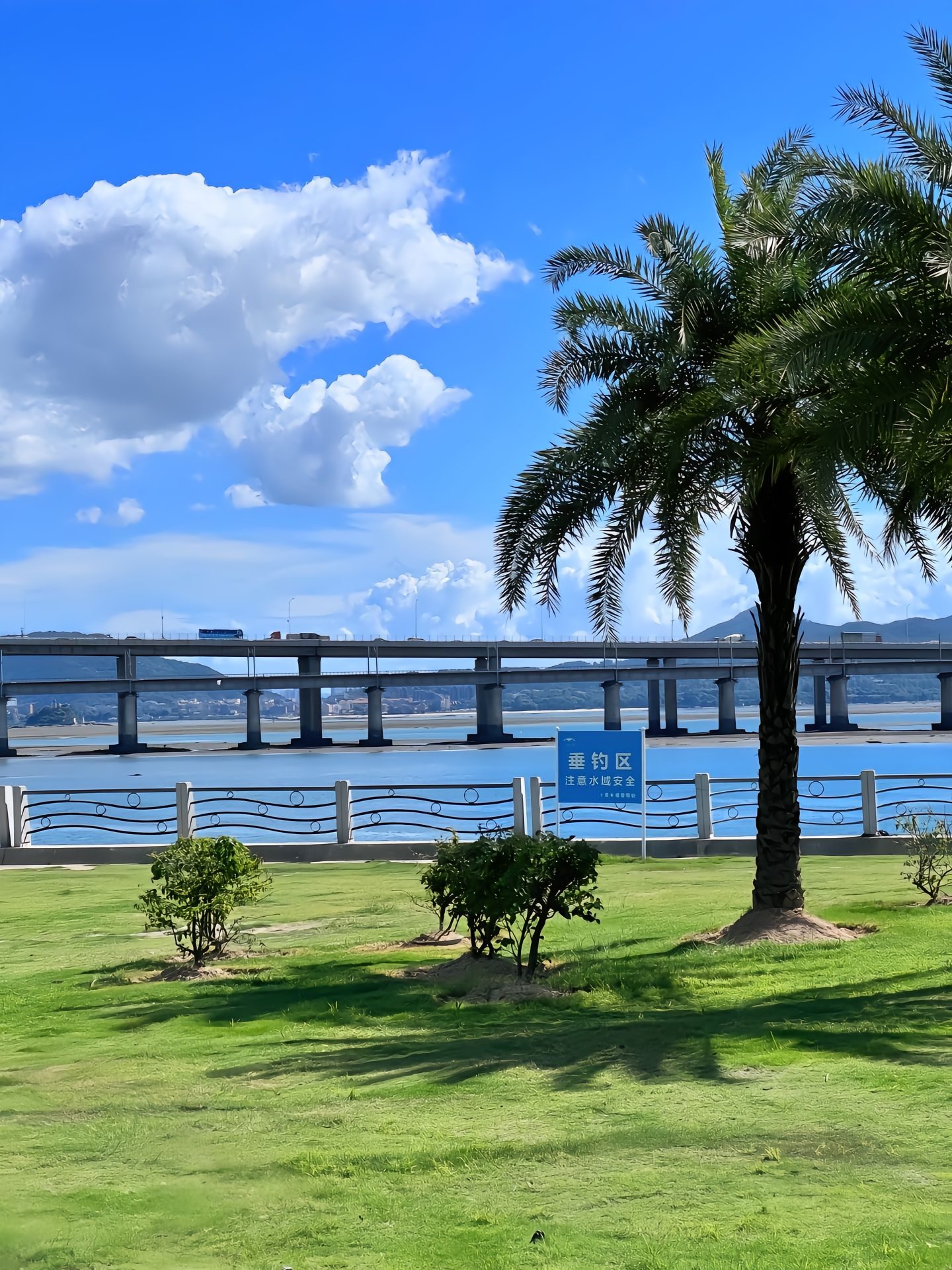 Sea bridge and palm tree on the Xiamen waterfront under a blue sky