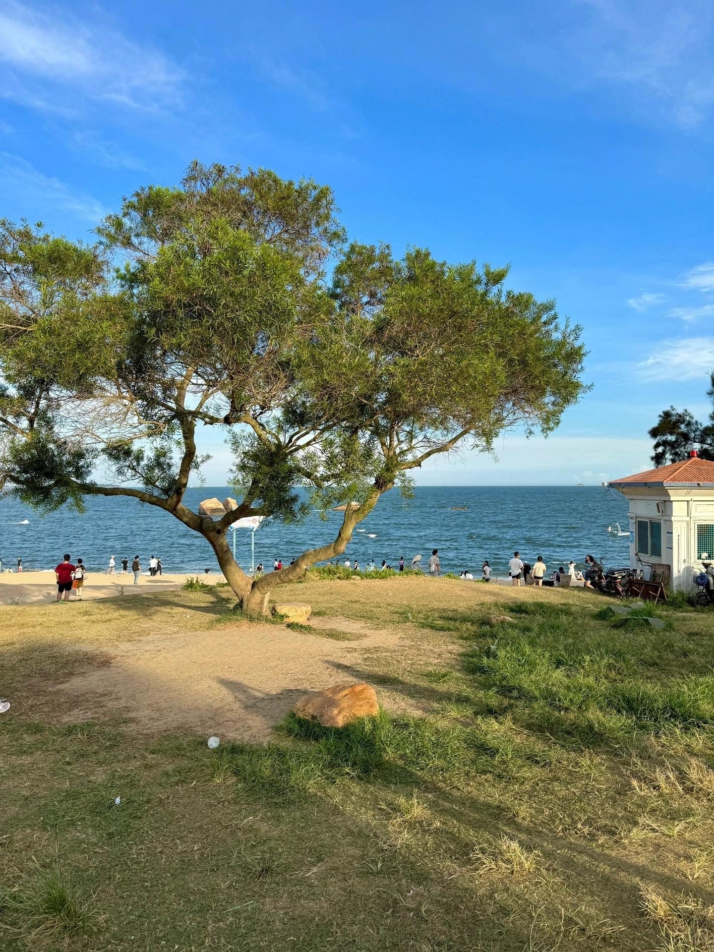 Seaside lawn and beach on the south-east coast of Xiamen Island