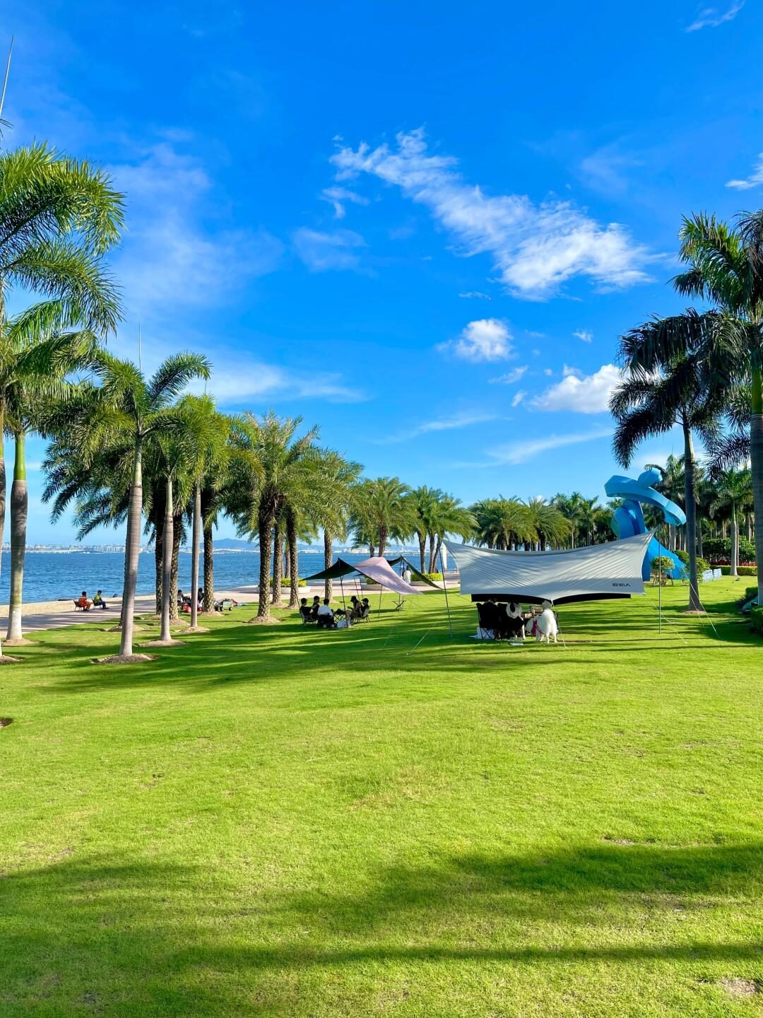 Palm trees and a seaside lawn on the Xiamen coast